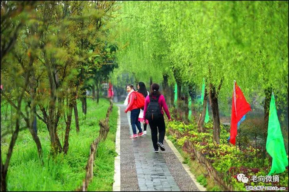 【春天，广西桂林灌阳县向您发出邀请！】江口老街又逢春 - 游山玩水 - 台湾生活社区 - 台湾28生活网 tw.28life.com