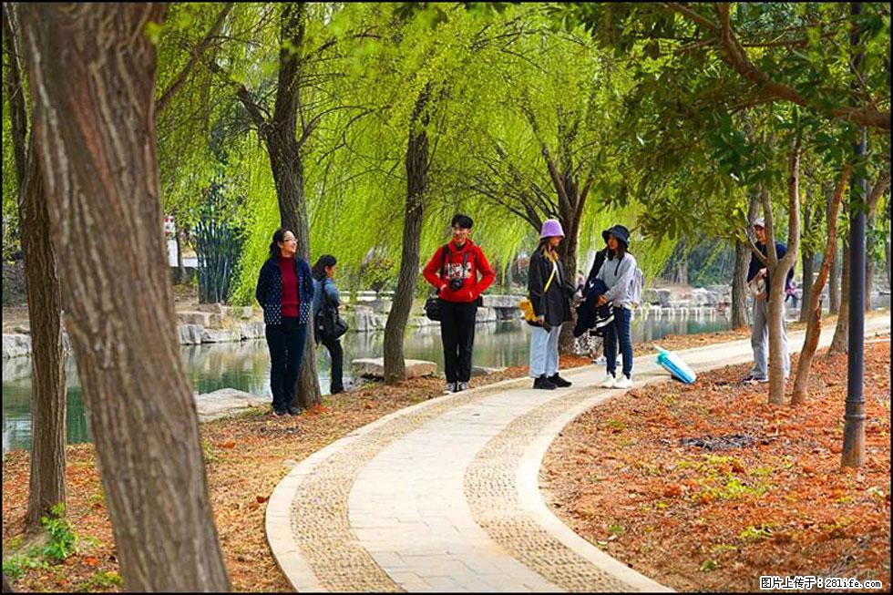 【春天，广西桂林灌阳县向您发出邀请！】江口老街又逢春 - 游山玩水 - 台湾生活社区 - 台湾28生活网 tw.28life.com