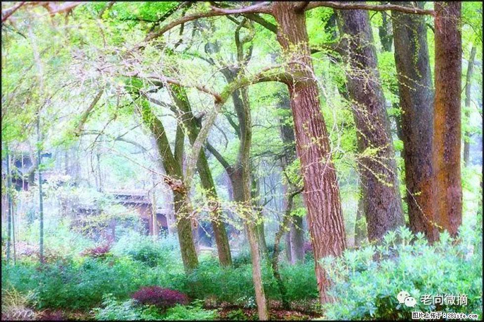 【春天，广西桂林灌阳县向您发出邀请！】在小龙村与春天约会 - 游山玩水 - 台湾生活社区 - 台湾28生活网 tw.28life.com