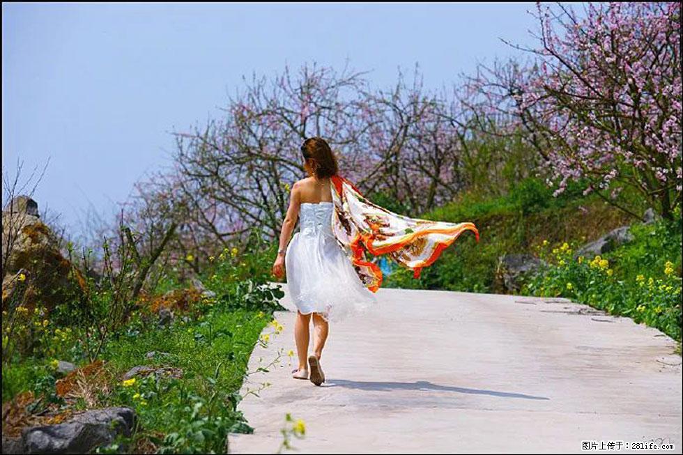 【春天，广西桂林灌阳县向您发出邀请！】望月岭上桃花开 - 游山玩水 - 台湾生活社区 - 台湾28生活网 tw.28life.com