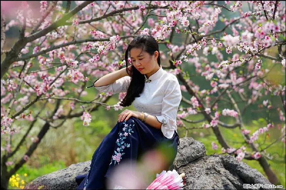 【春天，广西桂林灌阳县向您发出邀请！】望月岭上桃花开 - 游山玩水 - 台湾生活社区 - 台湾28生活网 tw.28life.com