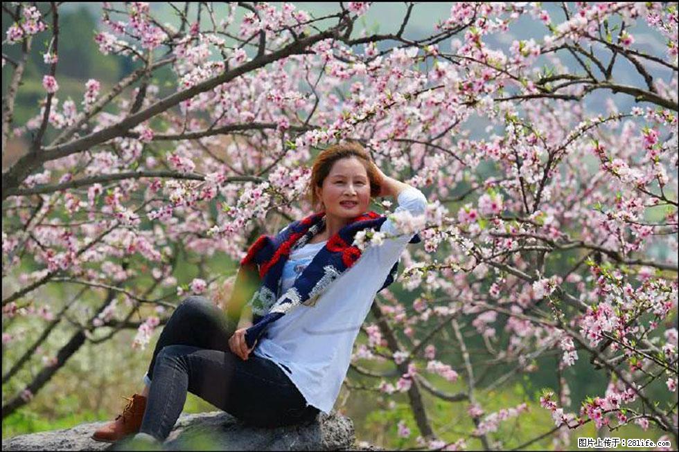 【春天，广西桂林灌阳县向您发出邀请！】望月岭上桃花开 - 游山玩水 - 台湾生活社区 - 台湾28生活网 tw.28life.com