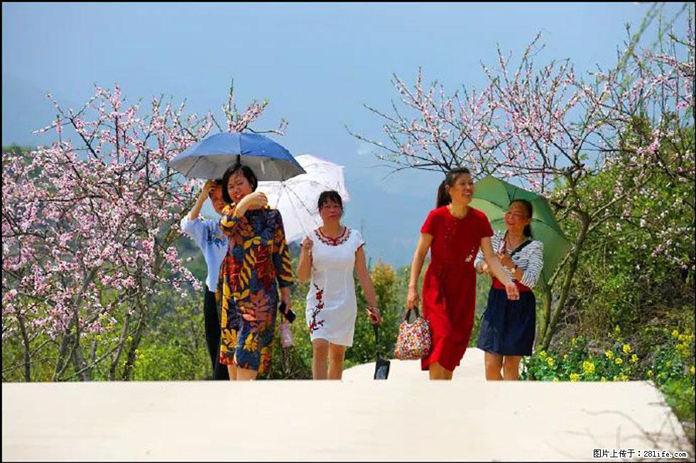 【春天，广西桂林灌阳县向您发出邀请！】望月岭上桃花开 - 游山玩水 - 台湾生活社区 - 台湾28生活网 tw.28life.com