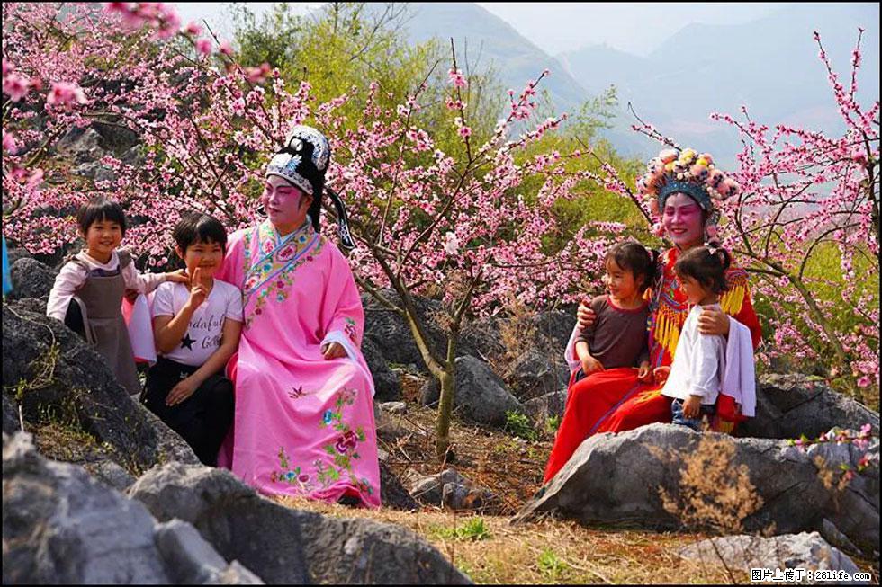 【春天，广西桂林灌阳县向您发出邀请！】望月岭上桃花开 - 游山玩水 - 台湾生活社区 - 台湾28生活网 tw.28life.com