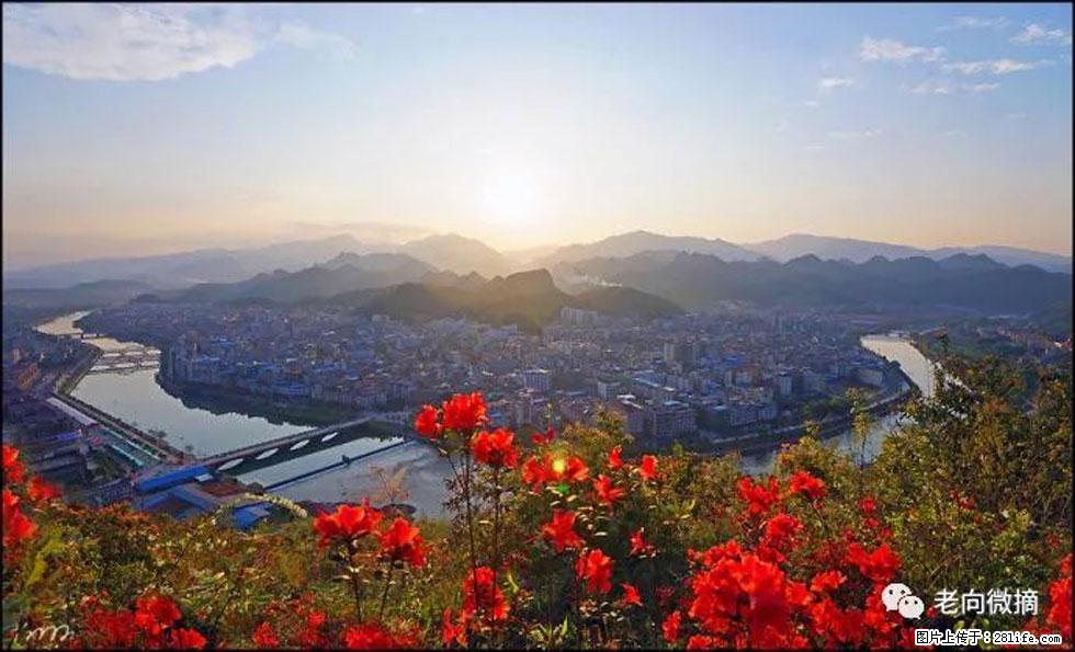 【春天，广西桂林灌阳县向您发出邀请！】登麒麟山，相约映山红 - 游山玩水 - 台湾生活社区 - 台湾28生活网 tw.28life.com