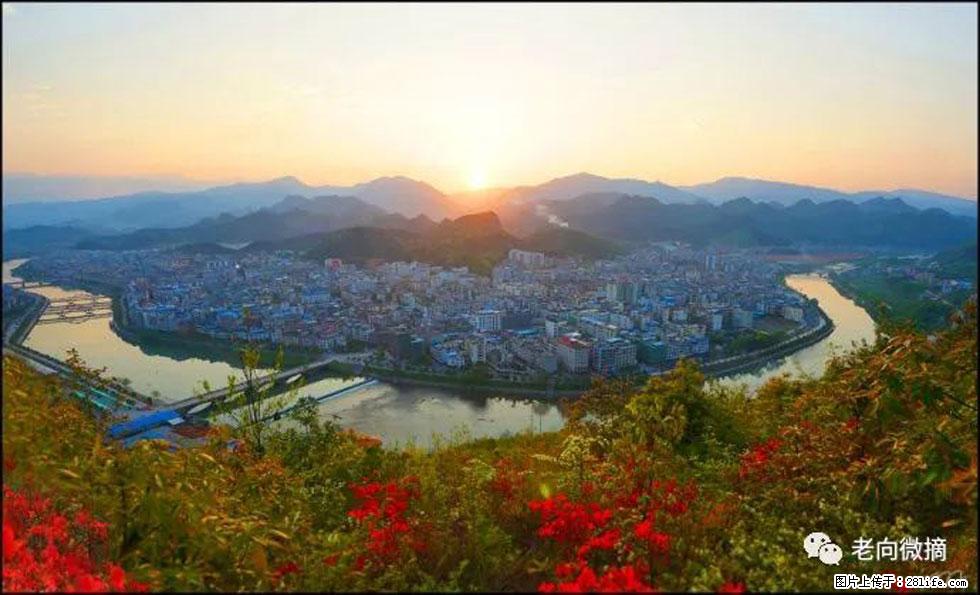 【春天，广西桂林灌阳县向您发出邀请！】登麒麟山，相约映山红 - 游山玩水 - 台湾生活社区 - 台湾28生活网 tw.28life.com