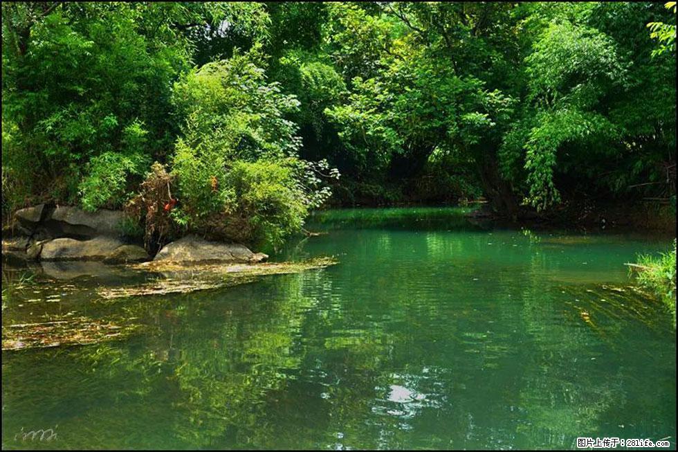 【春天，广西桂林灌阳县向您发出邀请！】如梦似幻莲溪庐 - 游山玩水 - 台湾生活社区 - 台湾28生活网 tw.28life.com