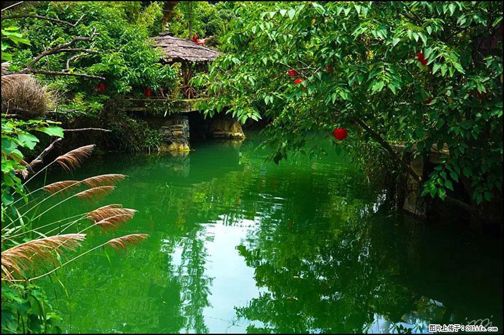 【春天，广西桂林灌阳县向您发出邀请！】如梦似幻莲溪庐 - 游山玩水 - 台湾生活社区 - 台湾28生活网 tw.28life.com