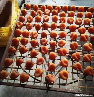 广西桂林平乐桥亭【柿饼之乡】2025年纯手工制作、无任何添加剂的第一批柿饼准备上市了，欢迎联系订购！ - 台湾28生活网 tw.28life.com