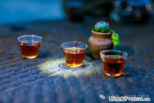 时间果百年古树2025年春红茶 - 购物交流 - 台湾生活社区 - 台湾28生活网 tw.28life.com