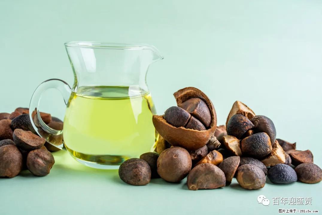 世界没有真相,只有认知,最好的食用油是中国的山茶油! - 台湾生活资讯 - 台湾28生活网 tw.28life.com