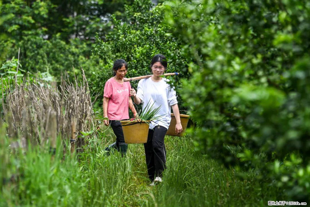 全网追的“扁担女孩”，找了一份暑假工，时薪12元 - 台湾生活资讯 - 台湾28生活网 tw.28life.com
