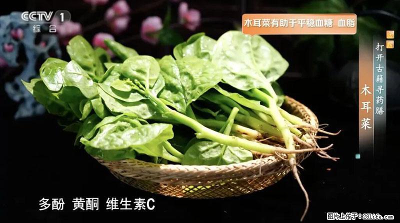 比牛奶补钙还厉害！凉血解毒、稳血糖...这菜冬天必吃，很多人却当草 - 台湾生活资讯 - 台湾28生活网 tw.28life.com