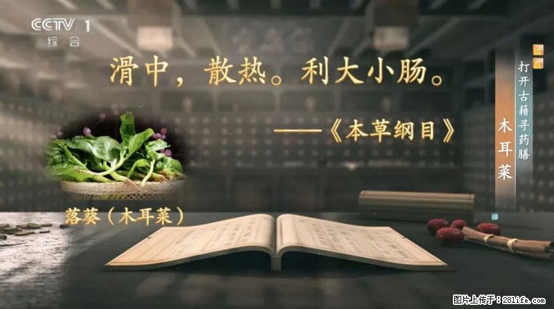 比牛奶补钙还厉害！凉血解毒、稳血糖...这菜冬天必吃，很多人却当草 - 台湾生活资讯 - 台湾28生活网 tw.28life.com