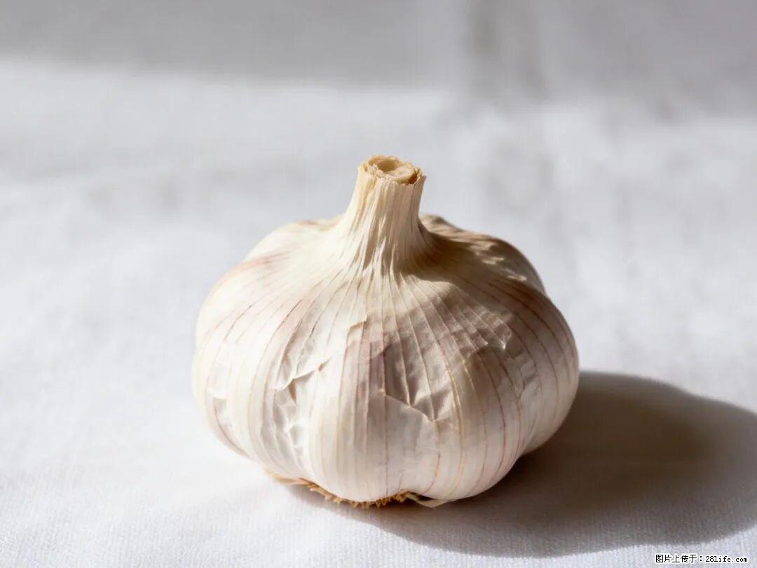 关于大蒜，除了“天然抗生素”，这4个谣言更该警惕! - 台湾生活资讯 - 台湾28生活网 tw.28life.com