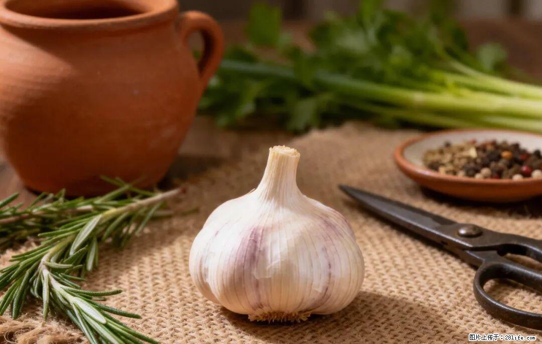 关于大蒜，除了“天然抗生素”，这4个谣言更该警惕! - 台湾生活资讯 - 台湾28生活网 tw.28life.com