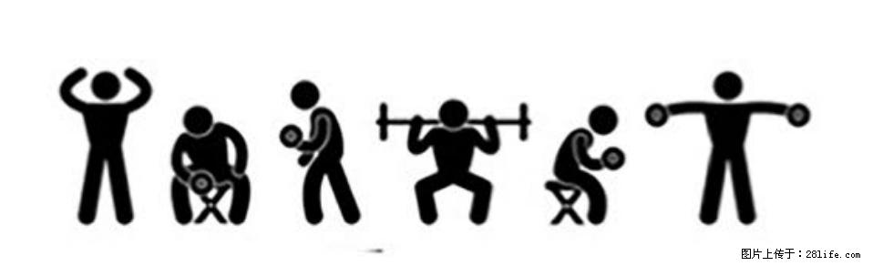 坚持这种运动6个月，心脏有了显著变化！不是跑步，也不是走路 - 台湾生活资讯 - 台湾28生活网 tw.28life.com