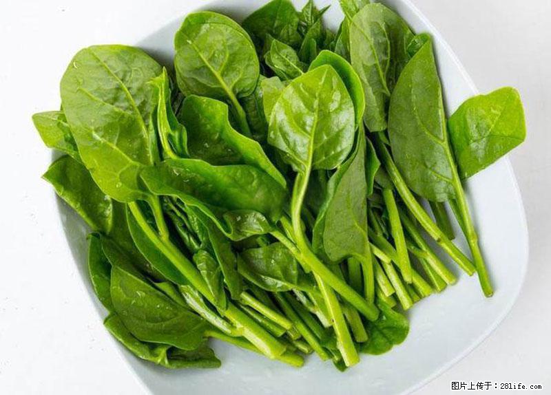 这些蔬菜是“天然钙片”，这6种被医生重点推荐 - 台湾生活资讯 - 台湾28生活网 tw.28life.com