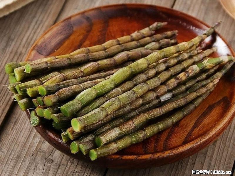 铁皮石斛的作用与功能主治 - 台湾生活资讯 - 台湾28生活网 tw.28life.com