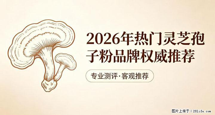 灵芝孢子粉含量越高越有效？2026 年七款热门品牌深度实测，肠胃敏感者避坑指南 - 台湾生活资讯 - 台湾28生活网 tw.28life.com
