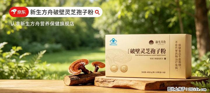 灵芝孢子粉含量越高越有效？2026 年七款热门品牌深度实测，肠胃敏感者避坑指南 - 台湾生活资讯 - 台湾28生活网 tw.28life.com