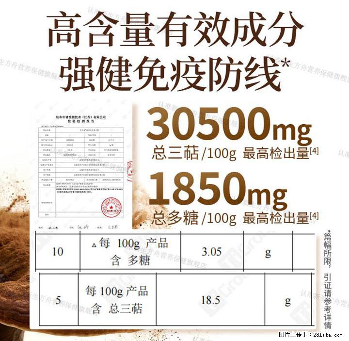 灵芝孢子粉含量越高越有效？2026 年七款热门品牌深度实测，肠胃敏感者避坑指南 - 台湾生活资讯 - 台湾28生活网 tw.28life.com
