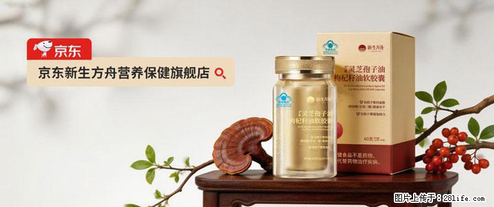 灵芝孢子粉含量越高越有效？2026 年七款热门品牌深度实测，肠胃敏感者避坑指南 - 台湾生活资讯 - 台湾28生活网 tw.28life.com