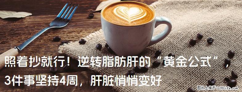 照着抄就行！逆转脂肪肝的“黄金公式”，3件事坚持4周，肝脏悄悄变好 - 台湾生活资讯 - 台湾28生活网 tw.28life.com